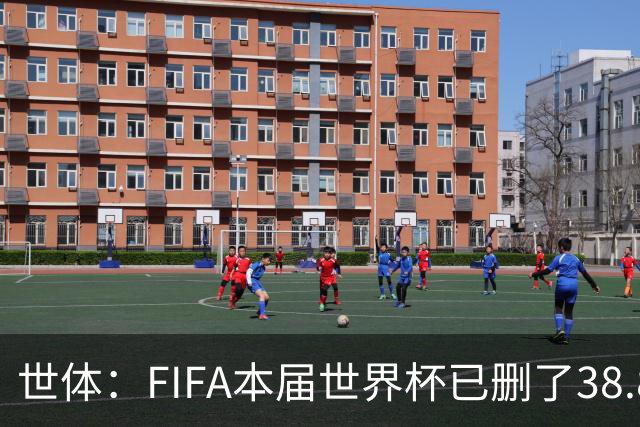 世体：FIFA本届世界杯已删了38.8万条辱骂信息，超过上届全程总数